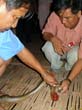 54. Вообще, охота в Комбодже запрещена законом, но каждая комбоджийская семья обязательно съедает в год одну змею, на покупку которой специально копит деньги. Змеи, по сравнению с Китаем, в качестве блюда стоят недешево.