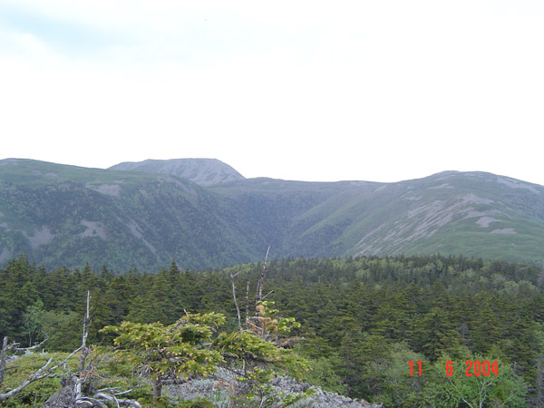DSC00594
