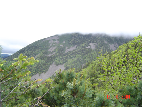 DSC00607