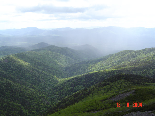 DSC00615