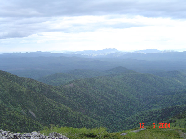DSC00660