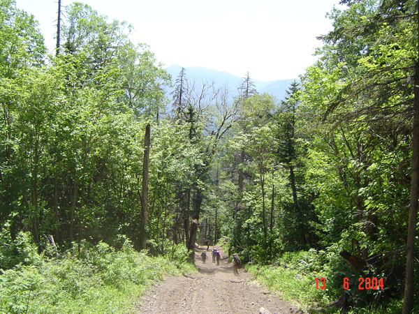 DSC00683