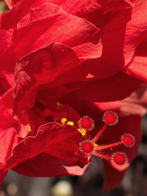 0232